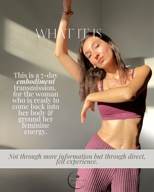 7 -Day Grounding Transmission