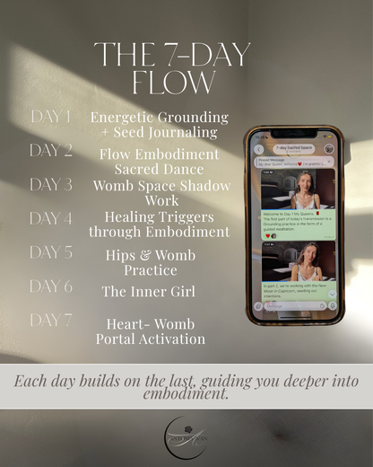 7 -Day Grounding Transmission
