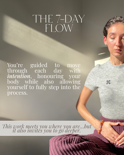7 -Day Grounding Transmission